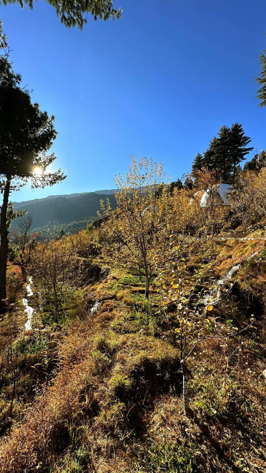Fayul Retreat - India Highest Glamp And Ecoluxury Stay 칼파 외부 사진